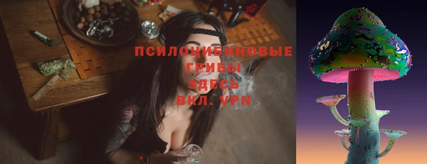 гашик Балахна