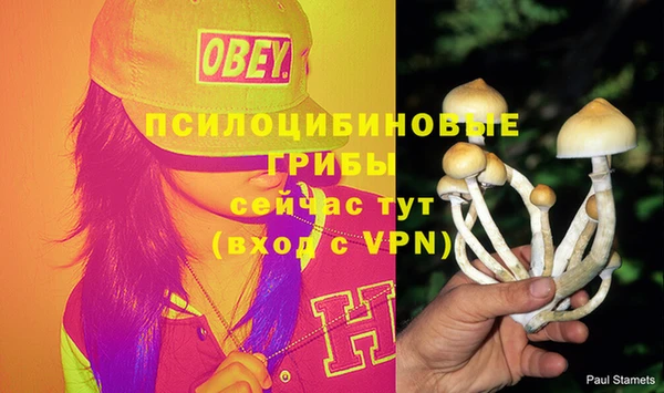ПСИЛОЦИБИНОВЫЕ ГРИБЫ Семёнов